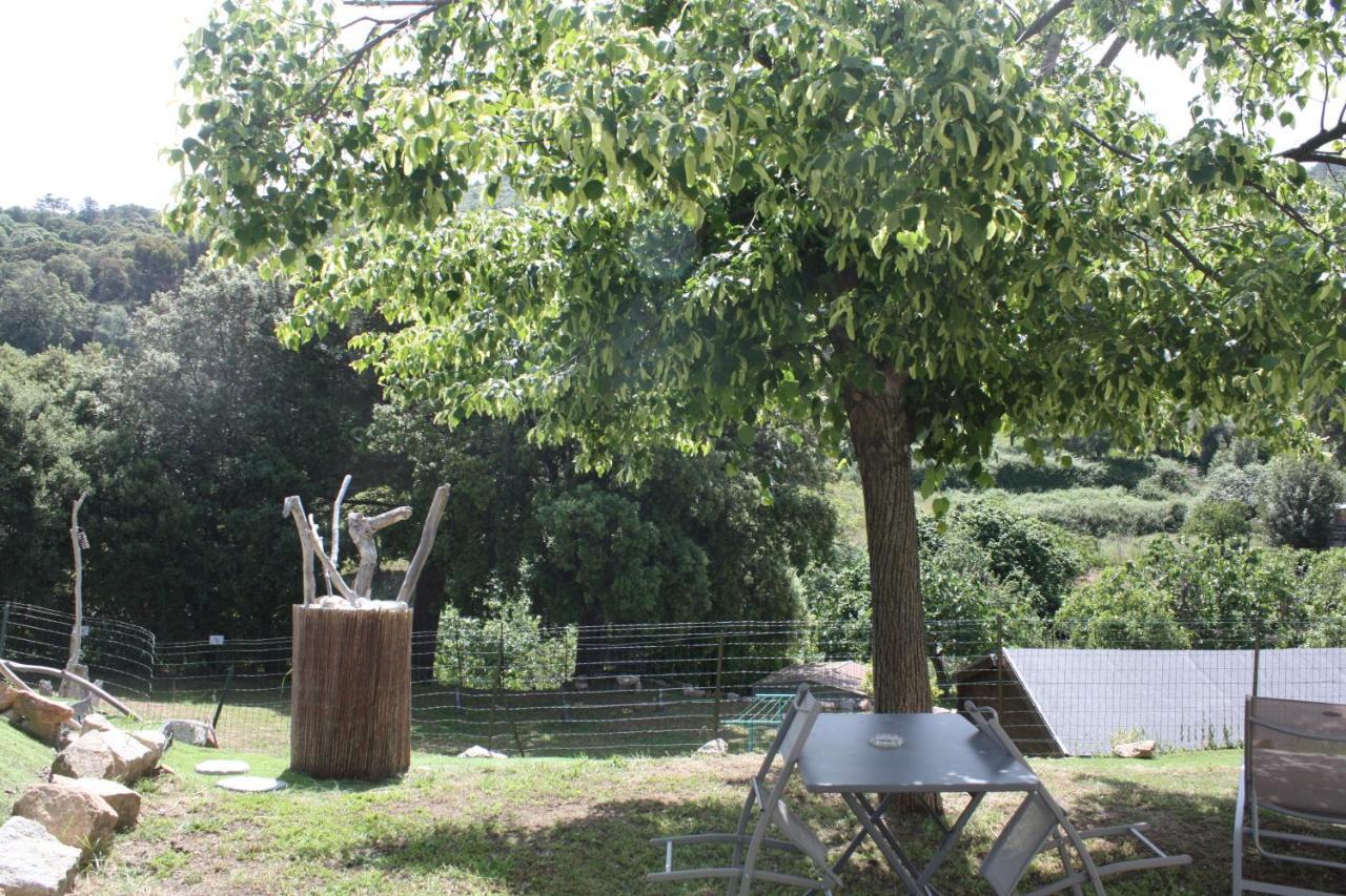 Apartamento A Cardiccia Loc Saisonnieres Piana Piana  Exterior foto